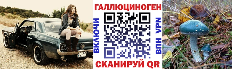 купить сайты Зеленогорск Псилоцибиновые грибы Psilocybe